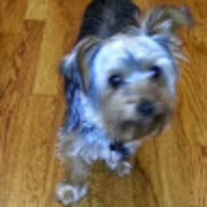 Meet your Posher, Patti